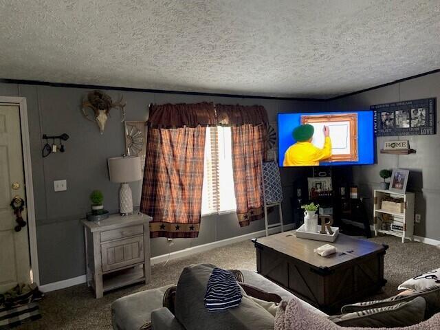 living room featuring carpet floors and a textured ceiling