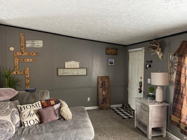 carpeted living room with a textured ceiling