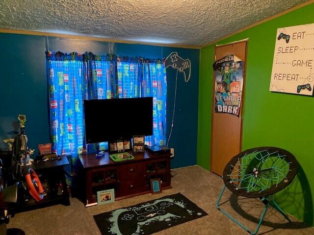 living room with carpet floors and a textured ceiling