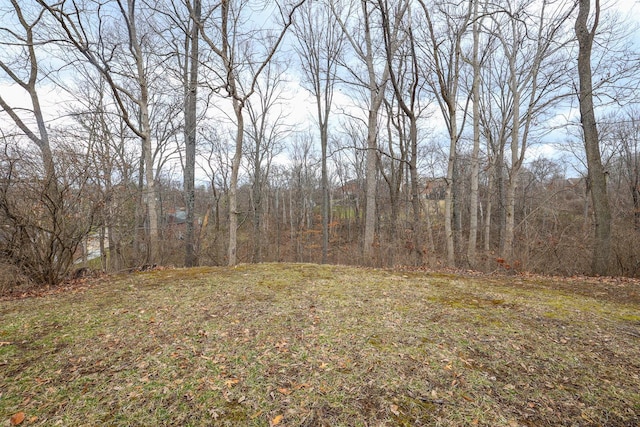 view of yard featuring a wooded view