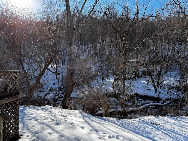 view of snowy landscape