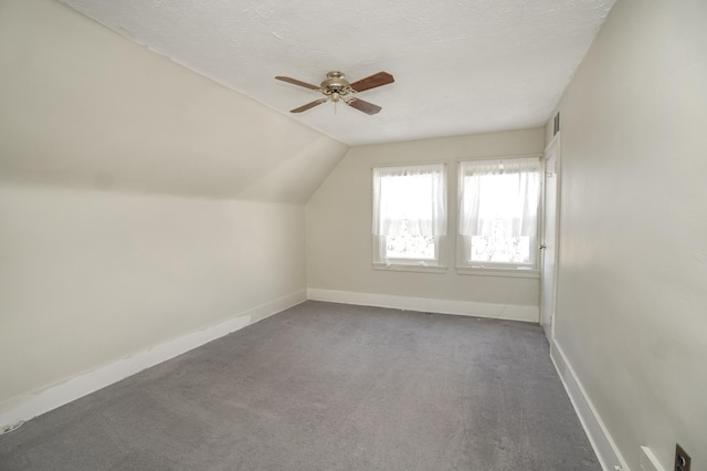 additional living space with lofted ceiling, carpet, and a textured ceiling