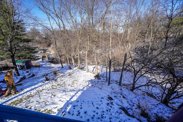 view of yard covered in snow