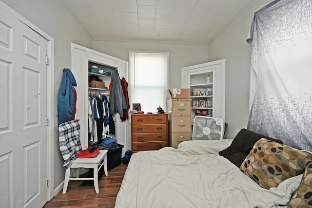 bedroom with a closet, a walk in closet, and dark hardwood / wood-style floors