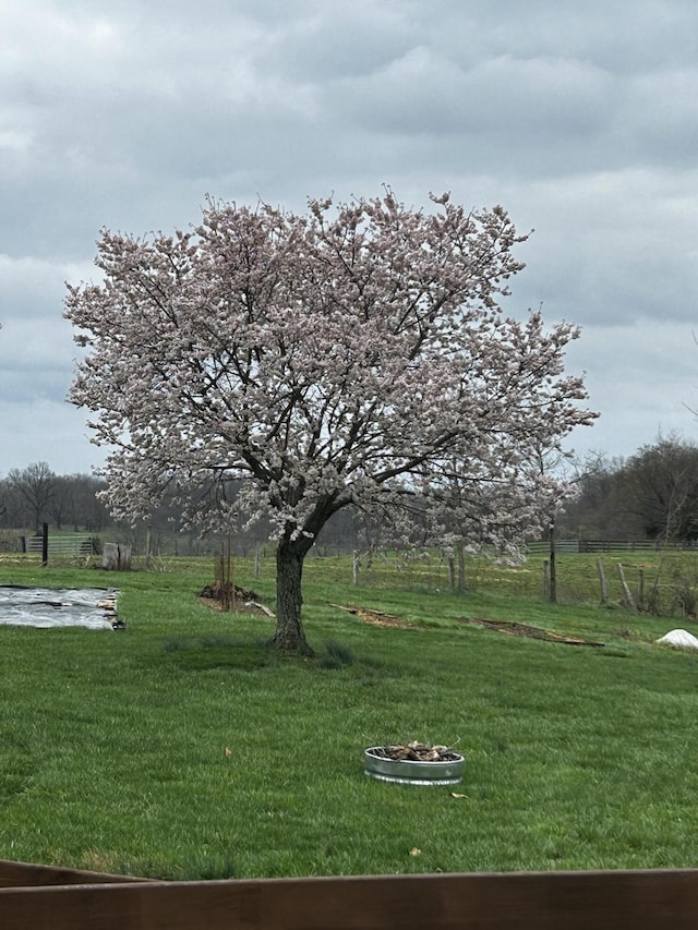 15027 Madison Pike, Morning View, KY 41063 - view of green lawn with a rural view