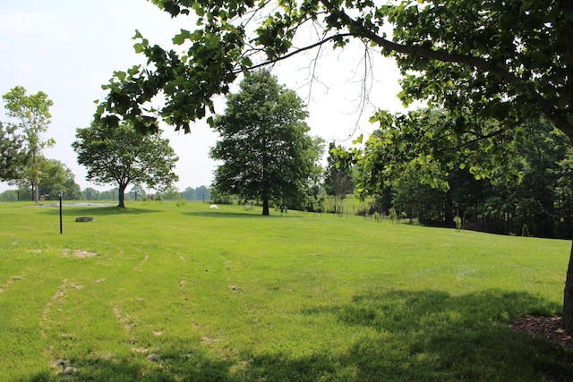 15027 Madison Pike, Morning View, KY 41063 - view of grassy yard
