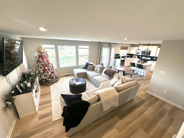 living room featuring light hardwood / wood-style floors