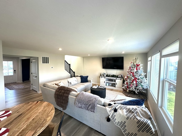 living room with wood-type flooring and a healthy amount of sunlight