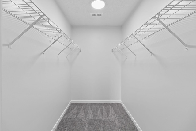 walk in closet with carpet floors