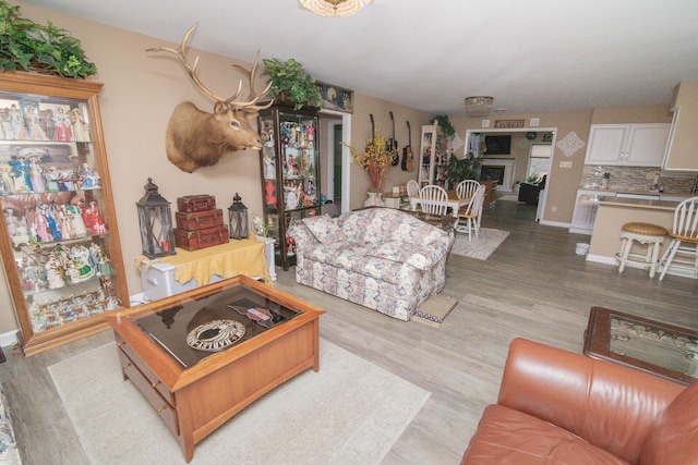 living room featuring light hardwood / wood-style floors