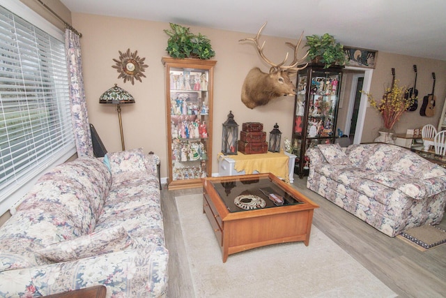 living room with light hardwood / wood-style floors