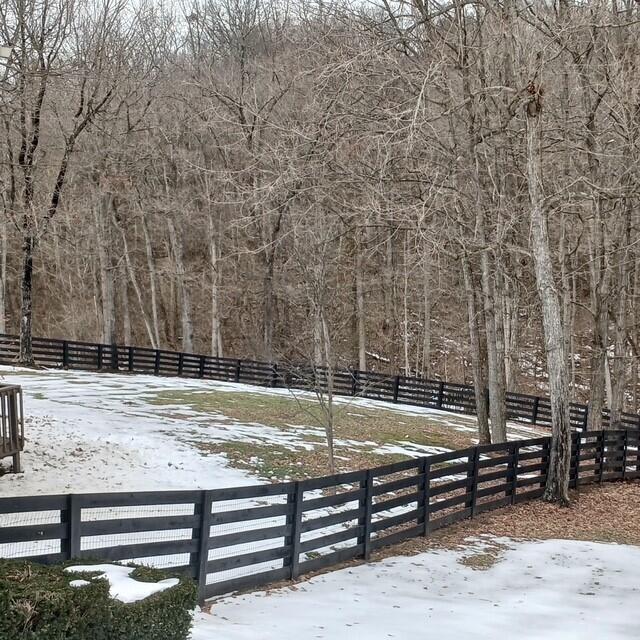 view of yard covered in snow