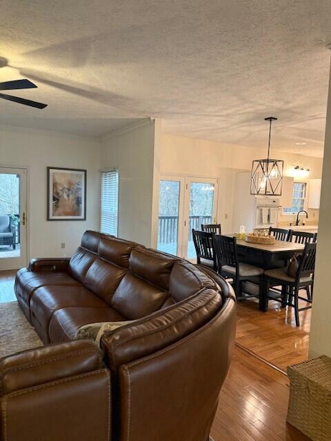 living room featuring sink, crown molding, hardwood / wood-style floors, a textured ceiling, and ceiling fan with notable chandelier