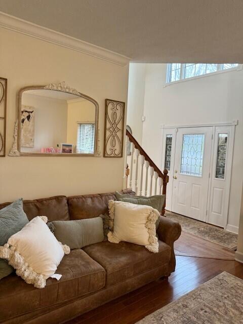 living room featuring ornamental molding and dark hardwood / wood-style flooring