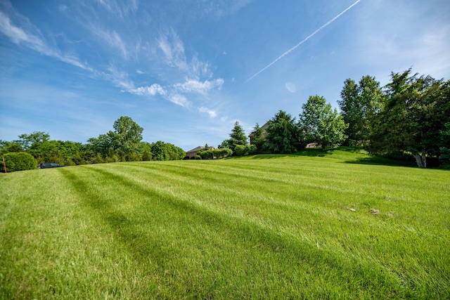 4 Links View Dr, Butler KY, 41006 land for sale