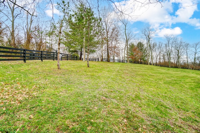 view of yard featuring a rural view