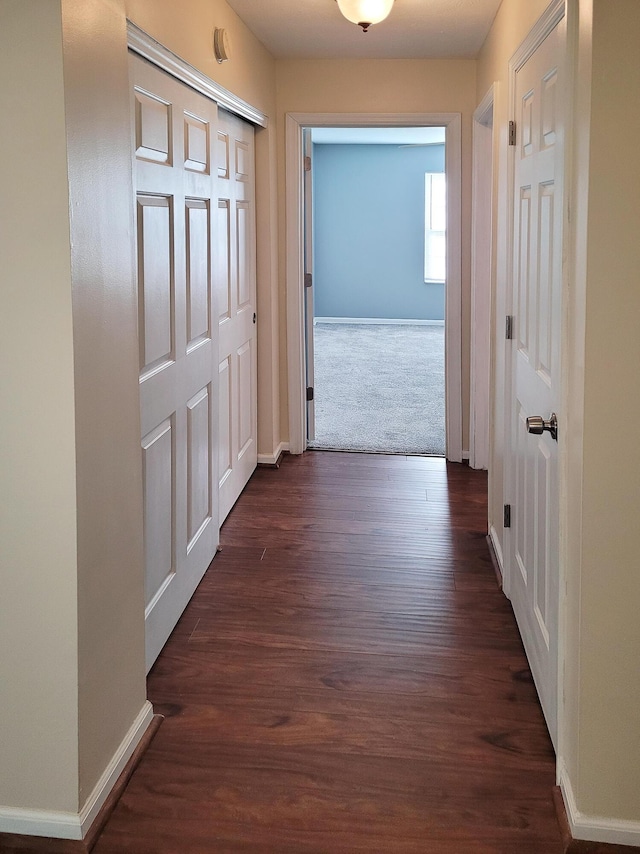 hallway with dark wood-type flooring