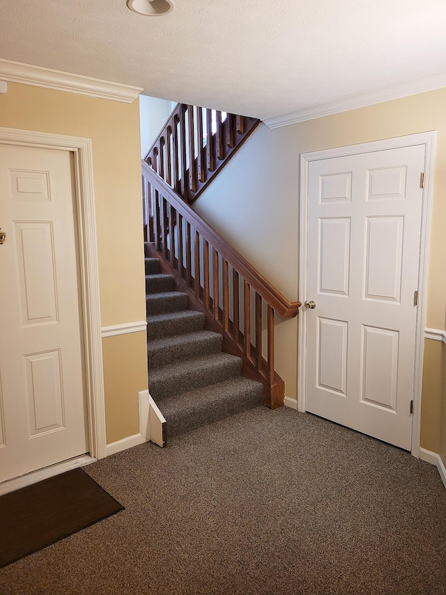 stairway with ornamental molding and carpet floors