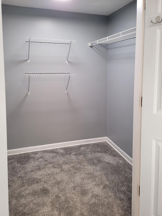 walk in closet with carpet