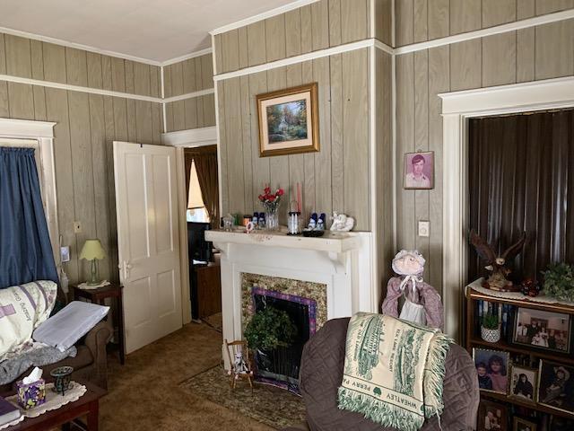 336 Roland Ave, Owenton, KY 40359 - living room with carpet floors, ornamental molding, a fireplace, and wooden walls