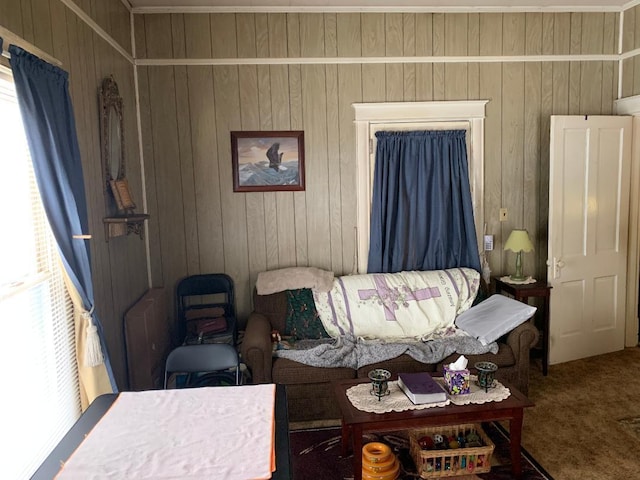 336 Roland Ave, Owenton, KY 40359 - carpeted living area featuring wooden walls