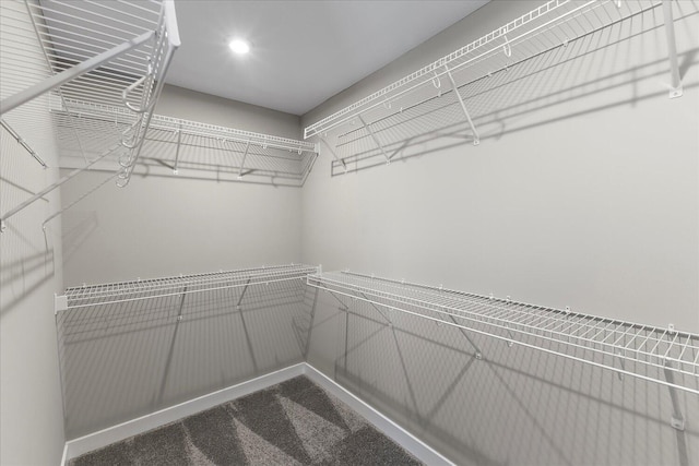 spacious closet with carpet floors