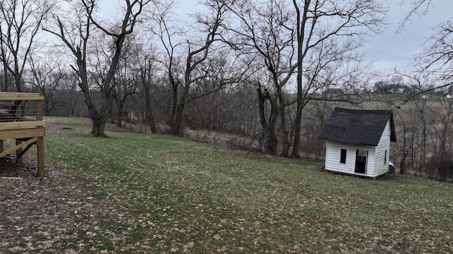 view of yard featuring a storage shed