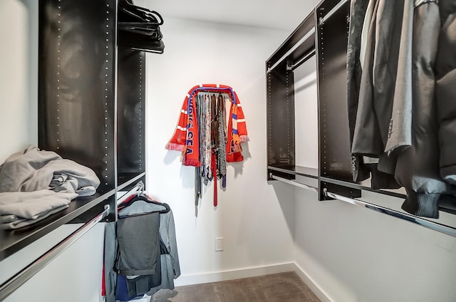 spacious closet featuring wood finished floors