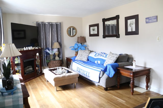 living room with hardwood / wood-style flooring