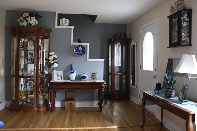 foyer with wood-type flooring