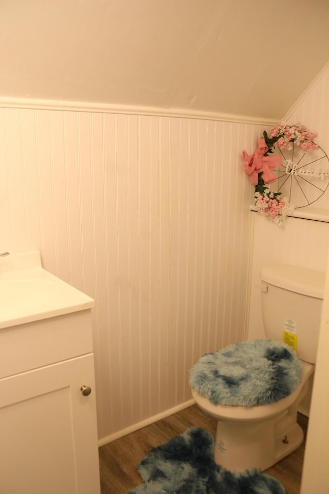 bathroom with wood-type flooring, vanity, and toilet