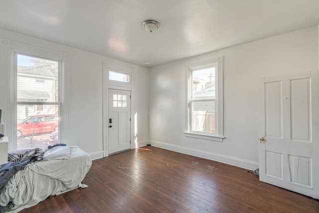 foyer with dark wood-type flooring and plenty of natural light