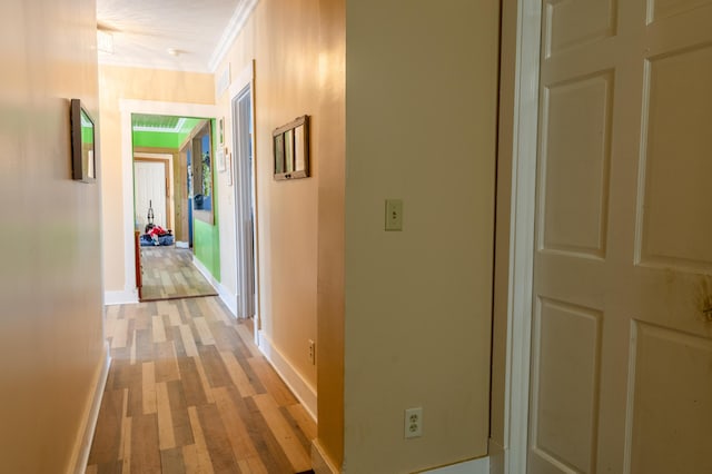 hall with crown molding and light wood-type flooring