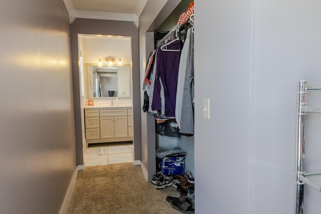 spacious closet with sink and light colored carpet