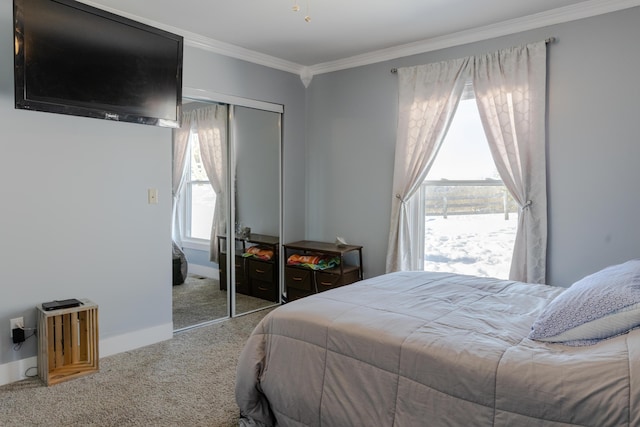 carpeted bedroom with crown molding and a closet