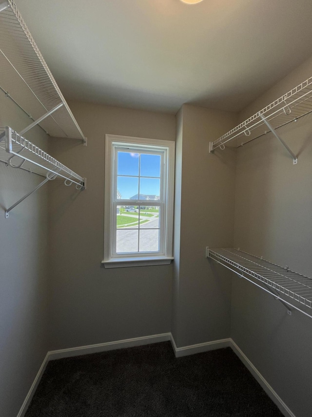 1703 Barons Cv, Hebron, KY 41048 - walk in closet with dark carpet
