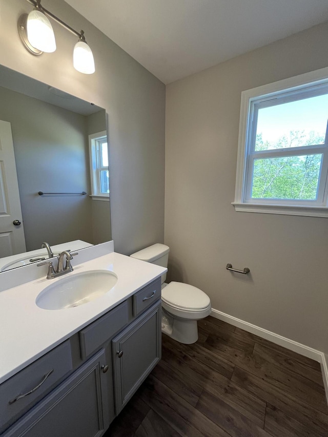 1703 Barons Cv, Hebron, KY 41048 - half bathroom featuring plenty of natural light, toilet, wood finished floors, and vanity