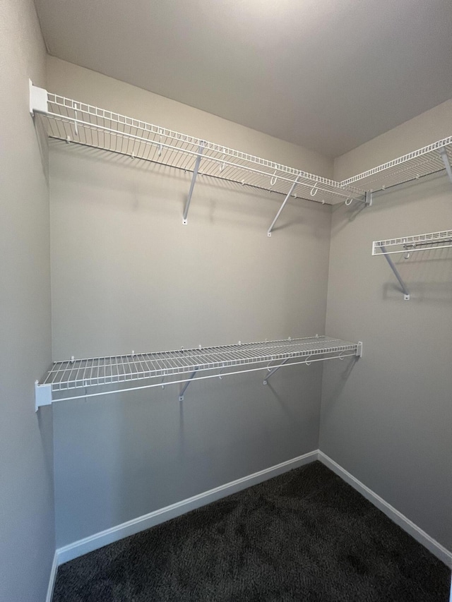1703 Barons Cv, Hebron, KY 41048 - spacious closet featuring carpet