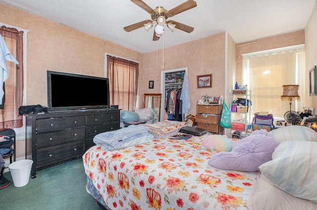 bedroom with carpet floors, a walk in closet, a closet, and a ceiling fan