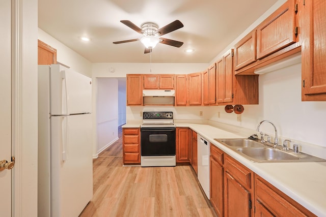 kitchen with ceiling fan, white appliances, light hardwood / wood-style floors, and sink