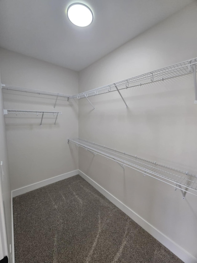 spacious closet with dark colored carpet