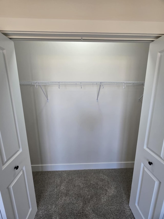 view of closet