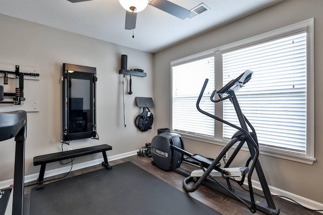 workout area with ceiling fan and dark hardwood / wood-style flooring