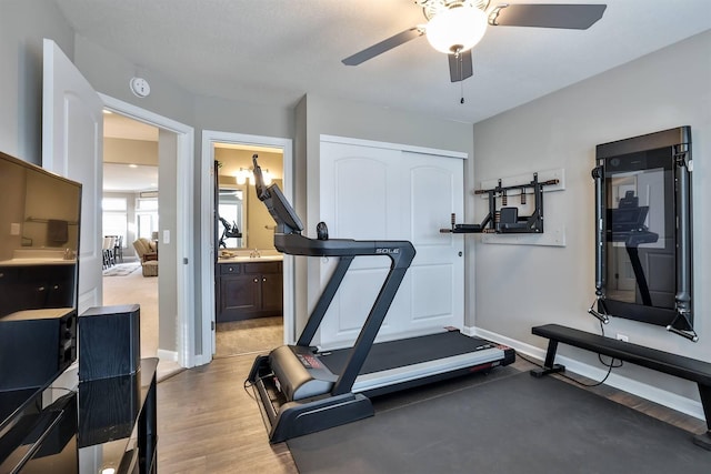 exercise room with wood-type flooring and ceiling fan