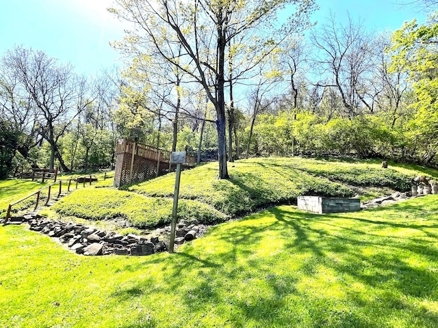 view of yard