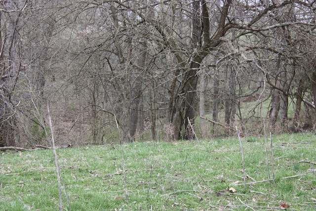 9520 E Bend Rd, Burlington, KY 41005 - view of nature