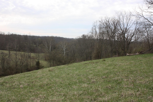 9520 E Bend Rd, Burlington, KY 41005 - view of yard with a view of trees