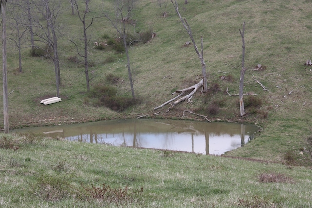 9520 E Bend Rd, Burlington, KY 41005 - view of water feature