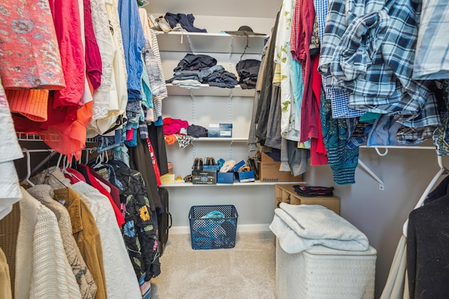 view of spacious closet