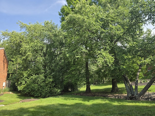 7013 Curtis Way Unit 7013, Florence, KY 41042 - view of green lawn